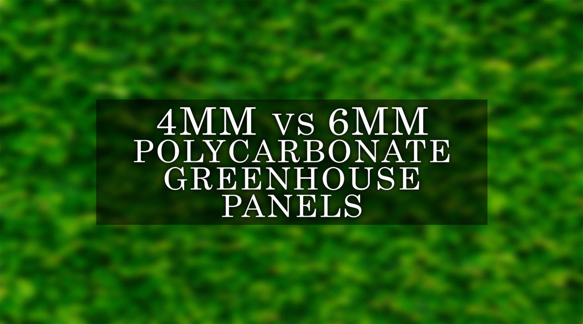 The Best Greenhouse Polycarbonate Sheet Thickness 4mm or 6mm