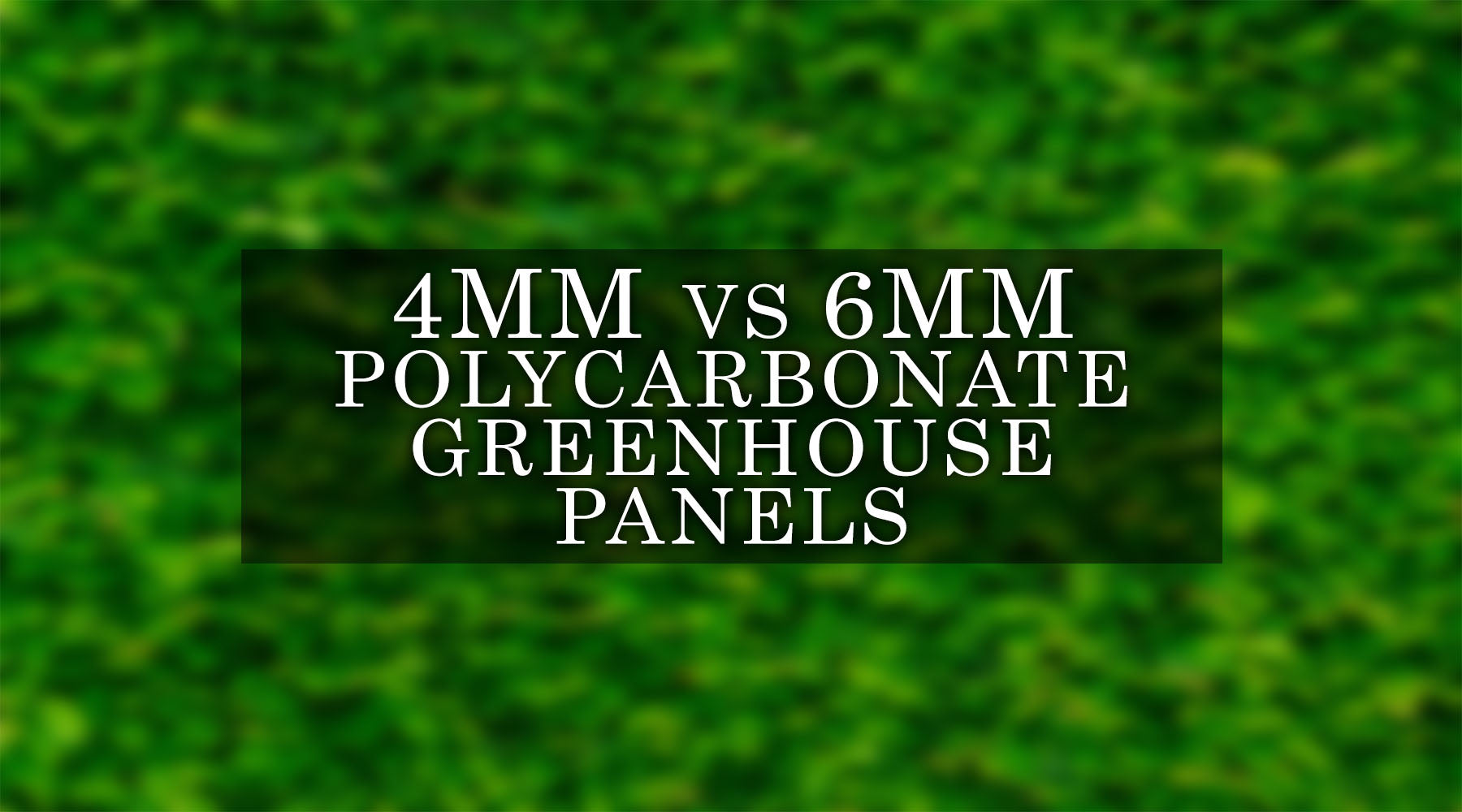 4mm vs 6mm Polycarbonate Greenhouse Panels: Which is Better?