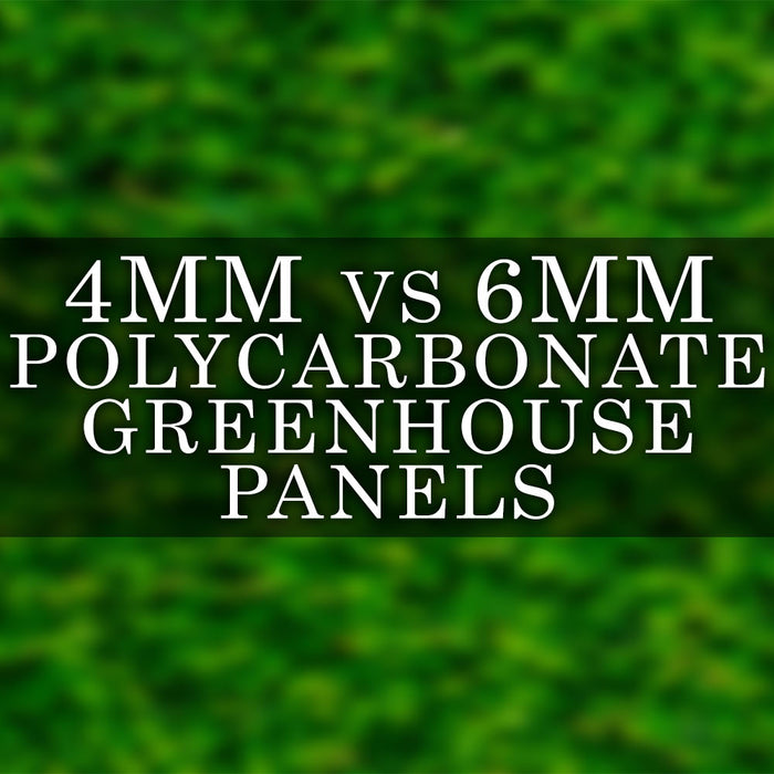 4mm vs 6mm Polycarbonate Greenhouse Panels: Which is Better?