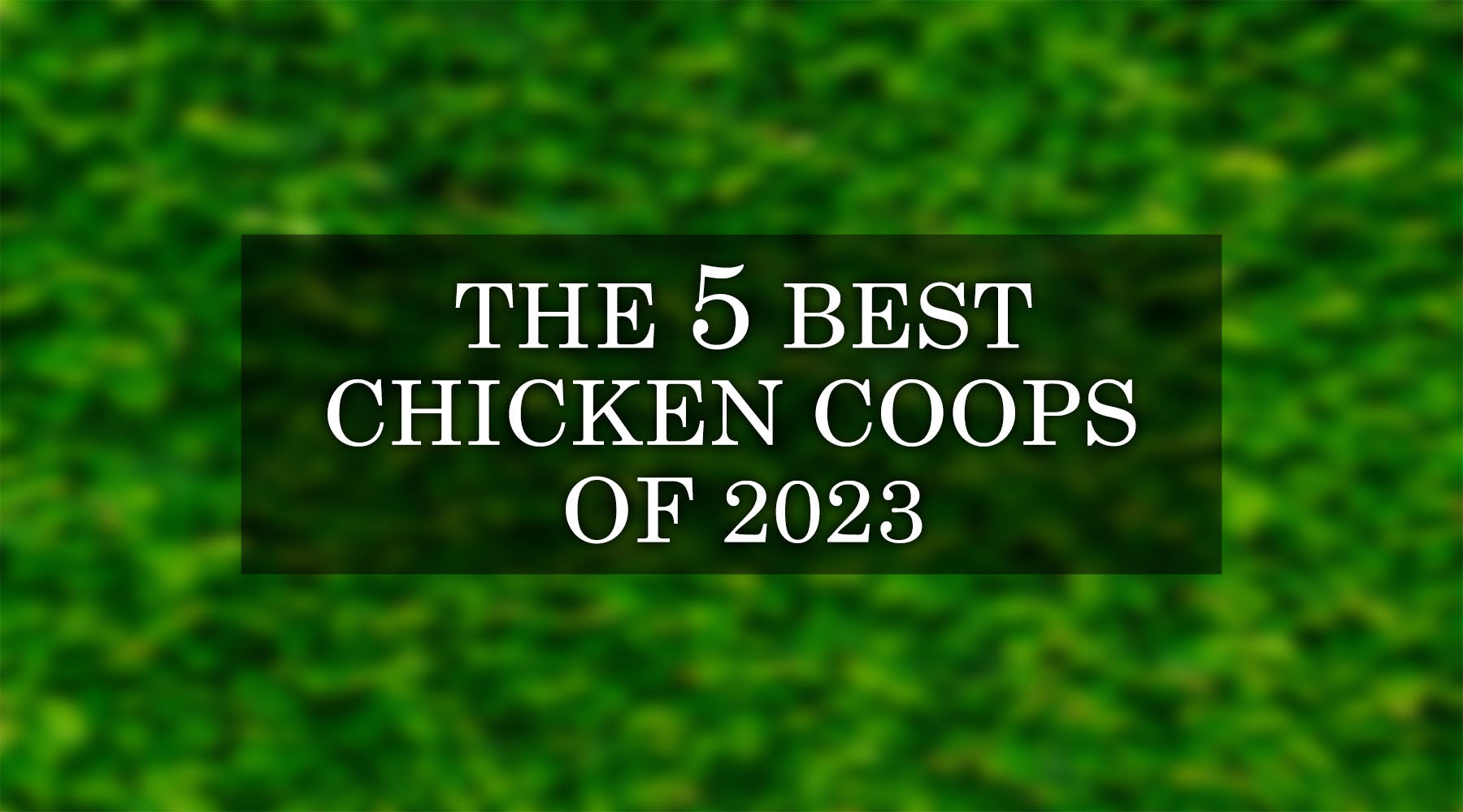 5 Best Chicken Coops of 2023 for Your Flock