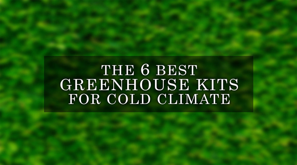 Best Greenhouse Kits for Cold Climates All About 6 Top Kits