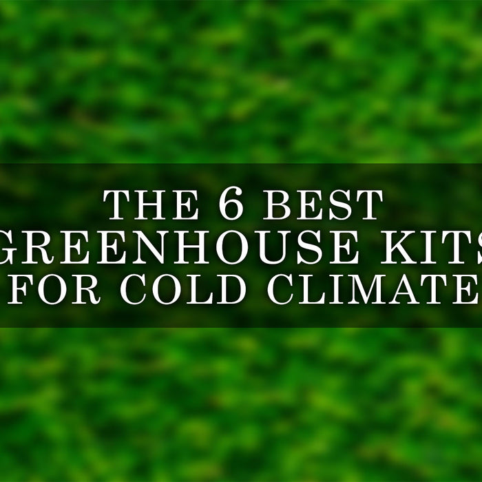 The 6 Best Greenhouse Kits for Gardening Success in Cold Weather