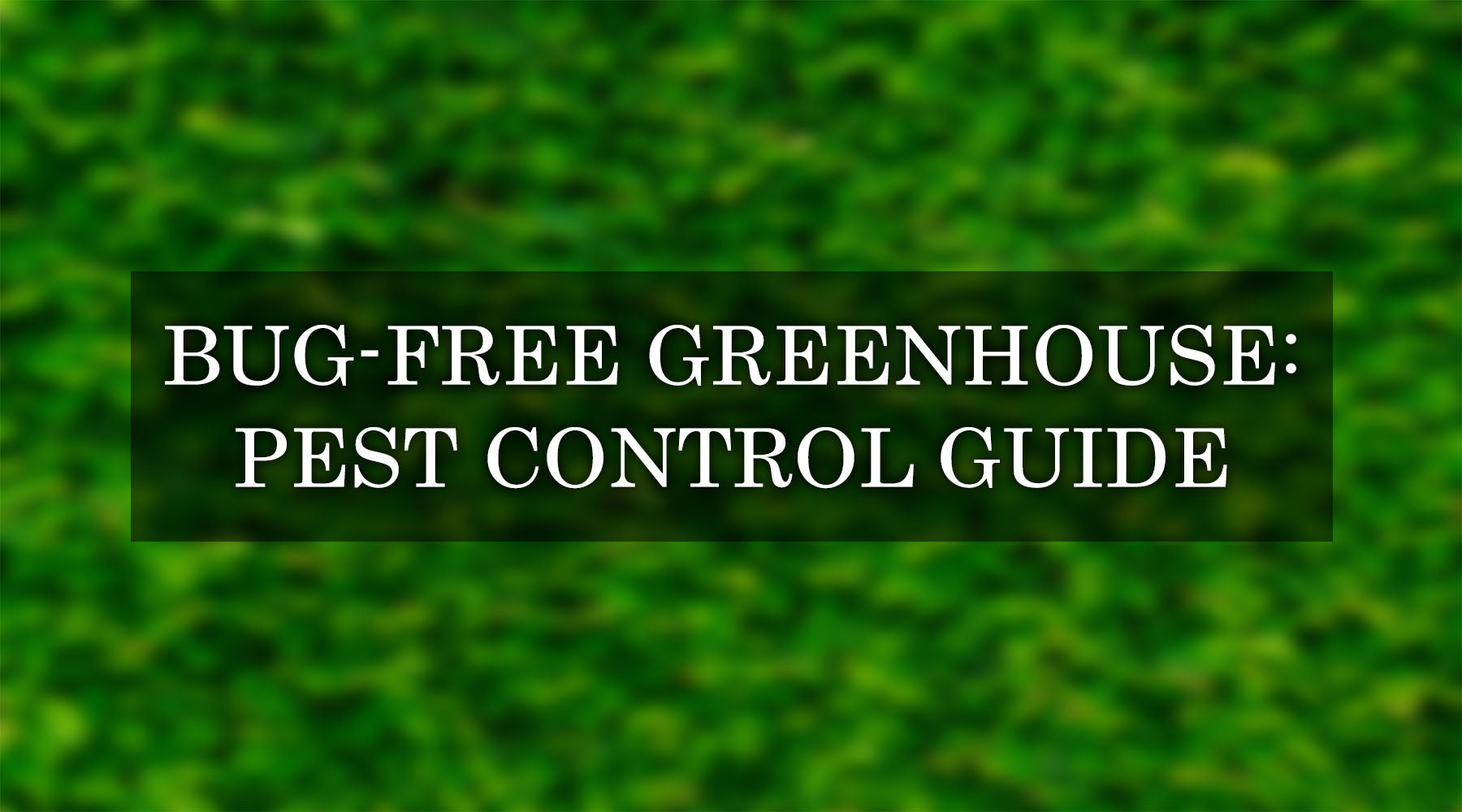 How to Keep Bugs Out of Greenhouse - Greenhouse Pest Control — Backyard ...