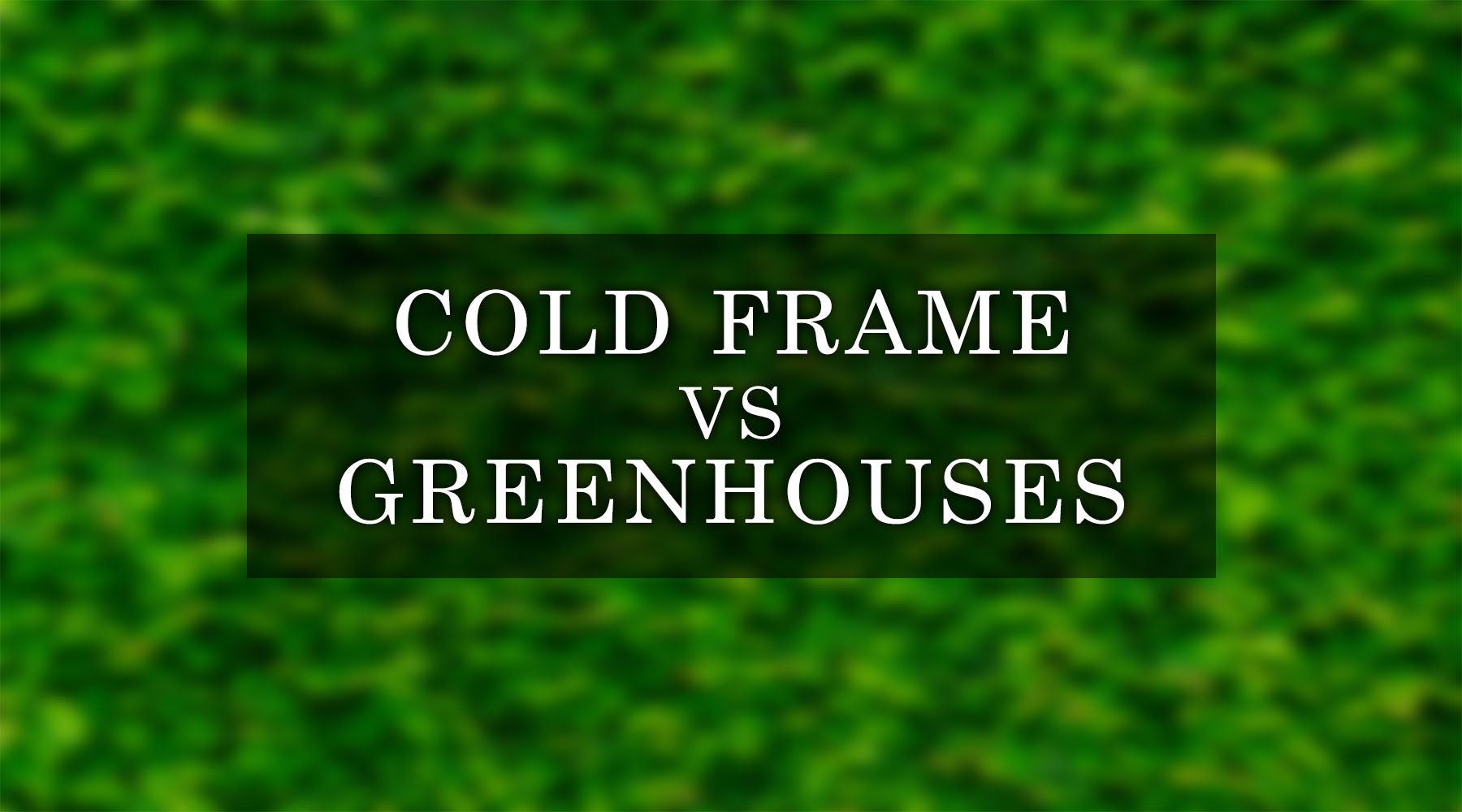 Cold Frame vs Greenhouse - Which Growing Structure is Best For Your Garden?