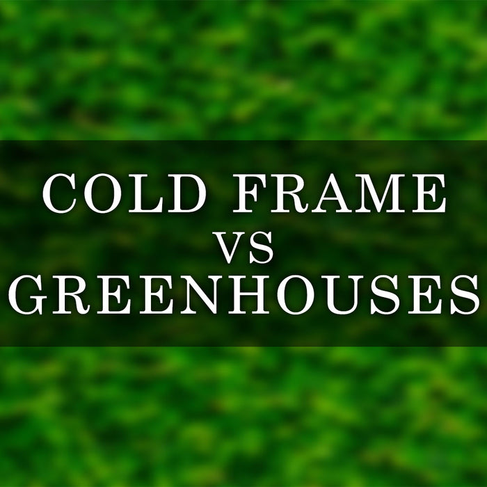 Cold Frame vs Greenhouse - Which Growing Structure is Best For Your Garden?