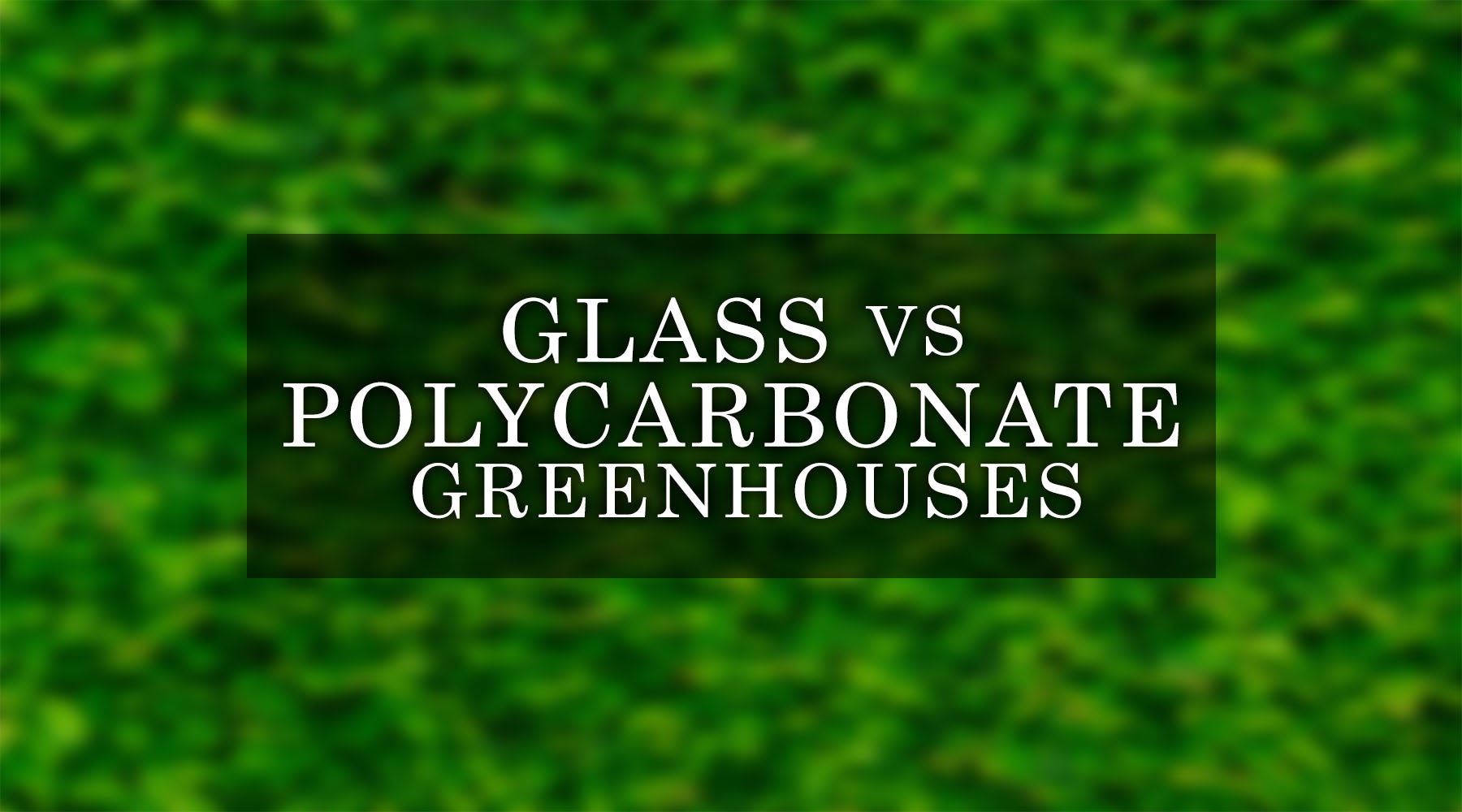 Glass vs Polycarbonate Greenhouses: Which is Better for Your Growing Needs?