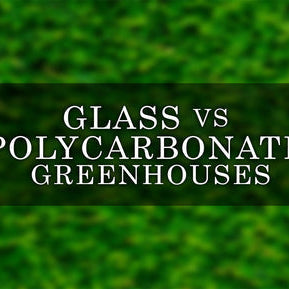 Glass vs Polycarbonate Greenhouses: Which is Better for Your Growing Needs?