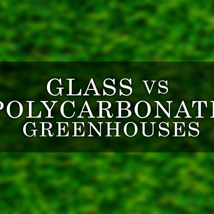 Glass vs Polycarbonate Greenhouses: Which is Better for Your Growing Needs?