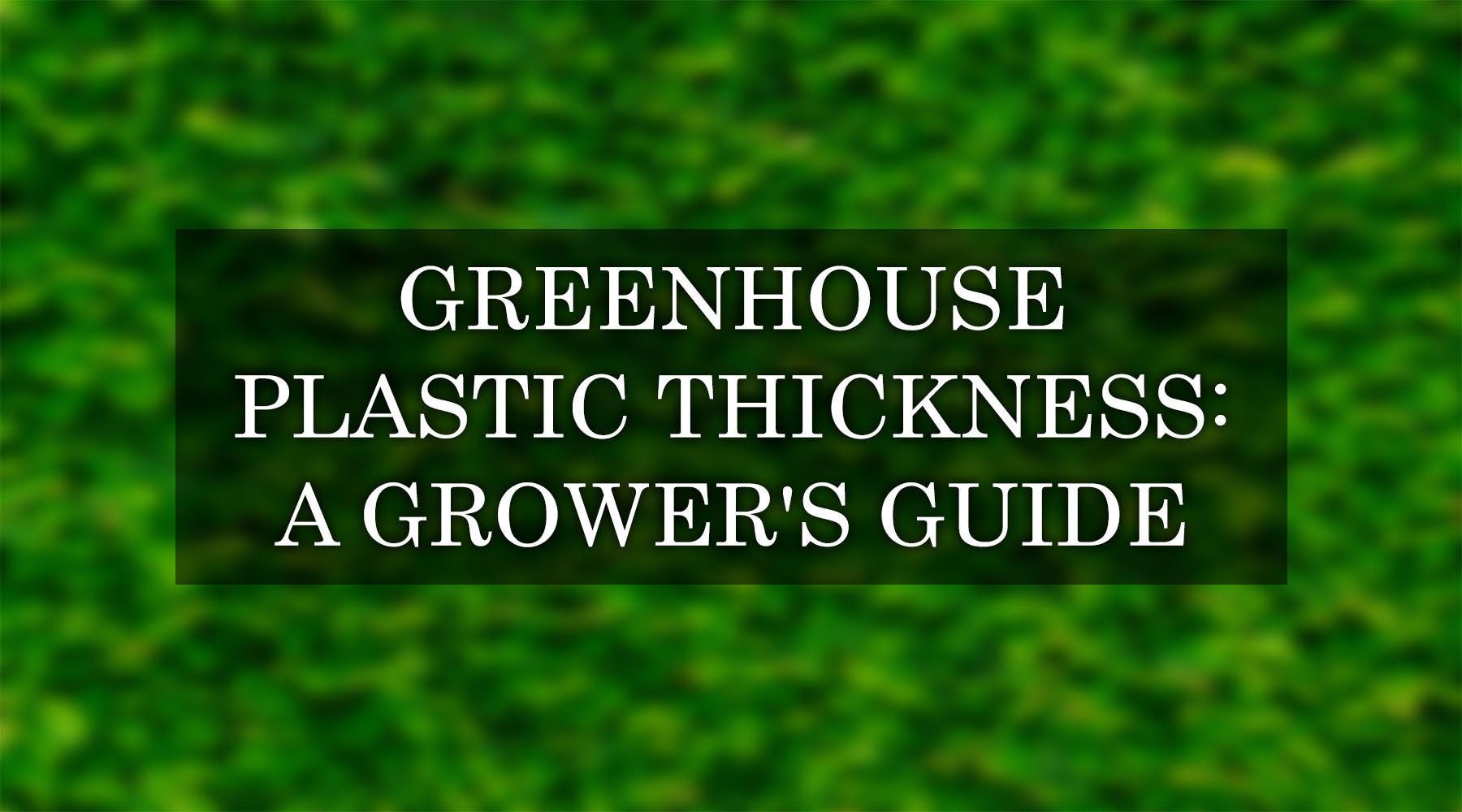 How Thick is Greenhouse Plastic? A Grower's Guide to Choosing the Right Thickness
