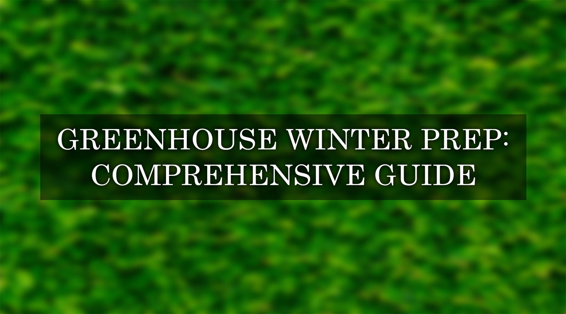 How to Winterize a Greenhouse: The Complete Step-by-Step Guide