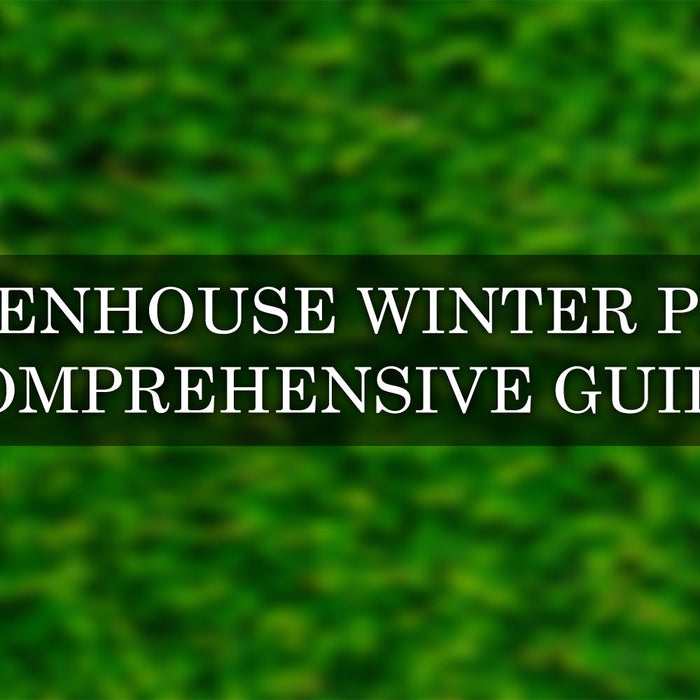 How to Winterize a Greenhouse: The Complete Step-by-Step Guide