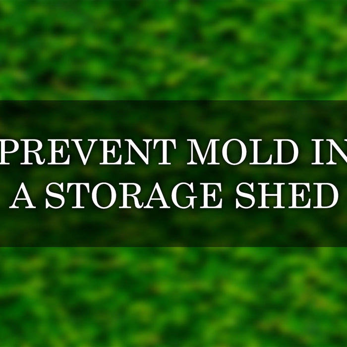How To Prevent Mold In Storage Shed Through 5 Steps 
