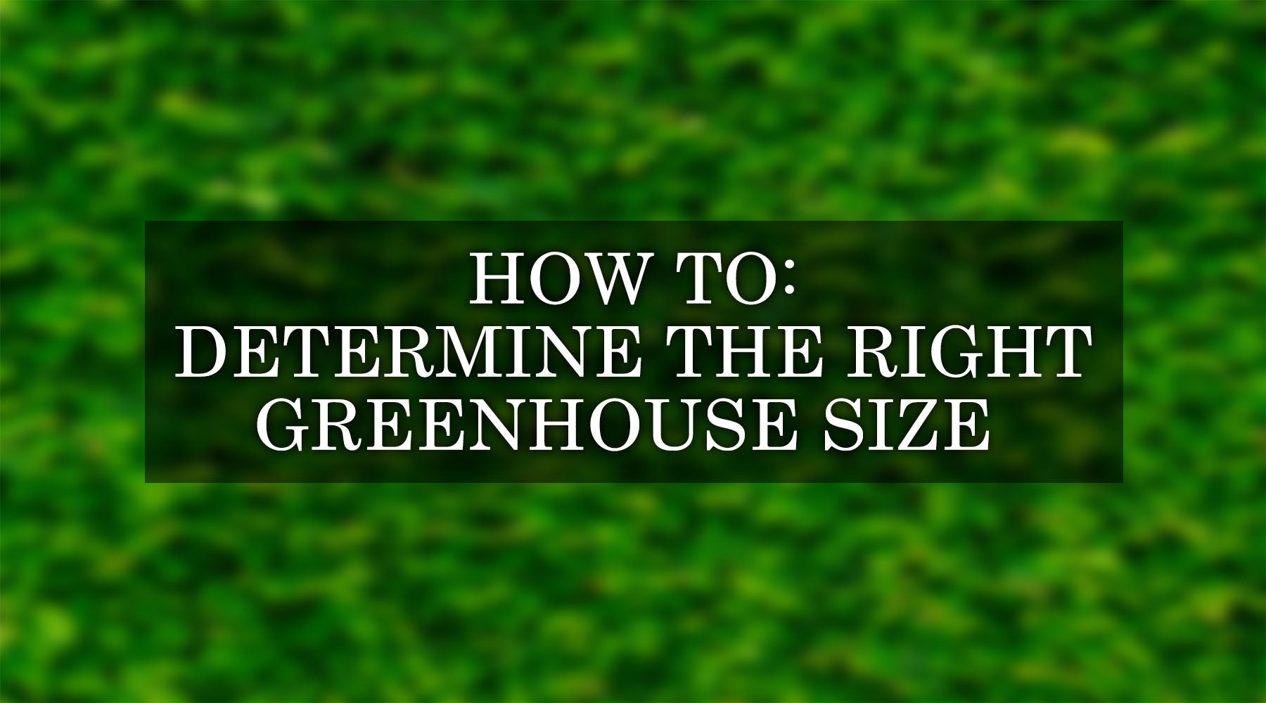 How to Determine the Right Greenhouse Size for Your Needs