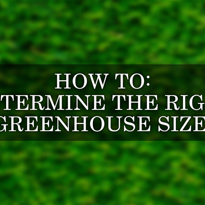 How to Determine the Right Greenhouse Size for Your Needs