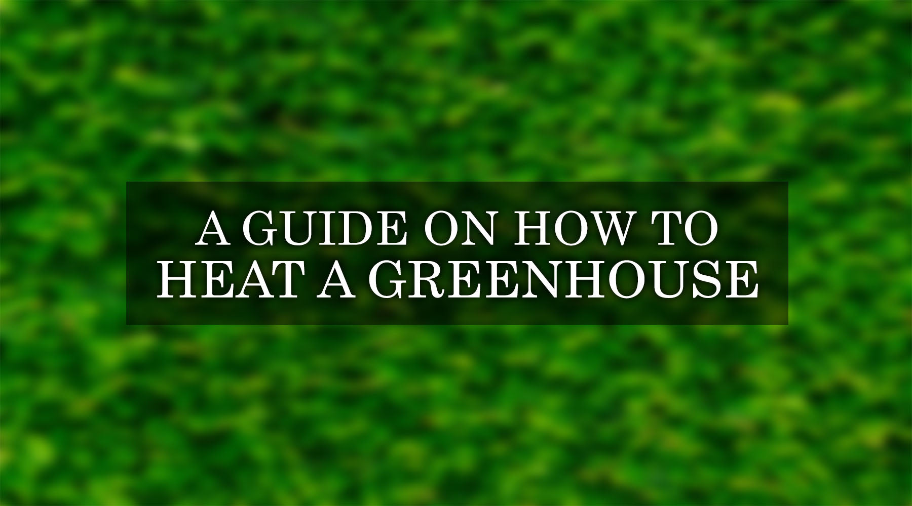 How to Heat a Greenhouse: The Complete Guide