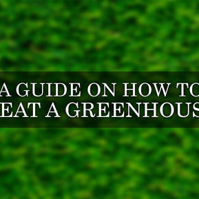 How to Heat a Greenhouse: The Complete Guide