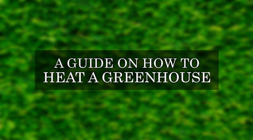 How to Heat a Greenhouse: The Complete Guide