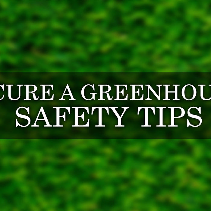 How to Properly Anchor a Greenhouse for Safety and Stability
