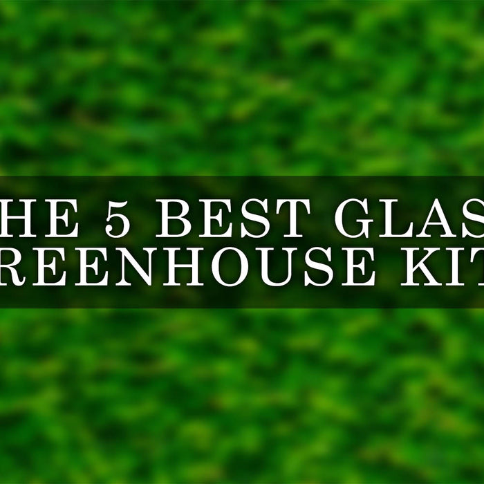 Discover The 5 Best Glass Greenhouse Kits for Thriving Plants
