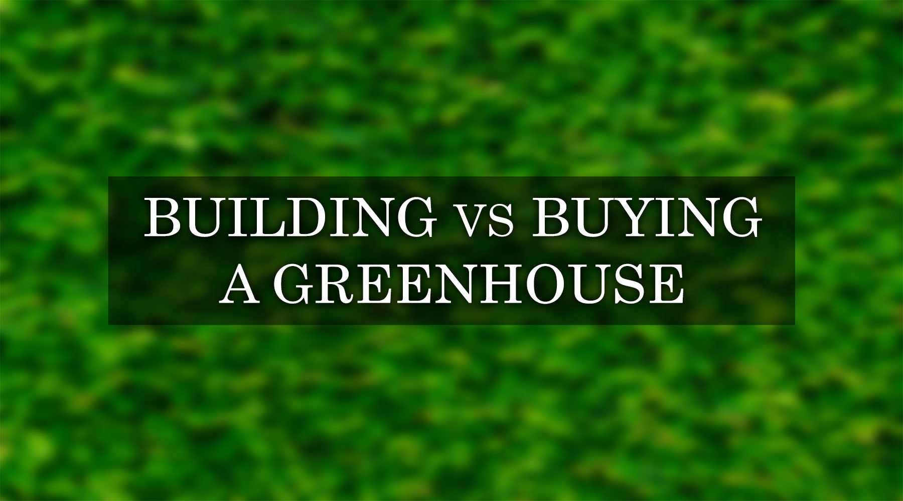 Building vs Purchasing a Greenhouse: An In-Depth Comparison
