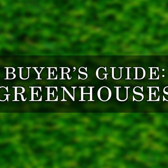 Greenhouse Buyer Guide: How to Choose the Best Greenhouse