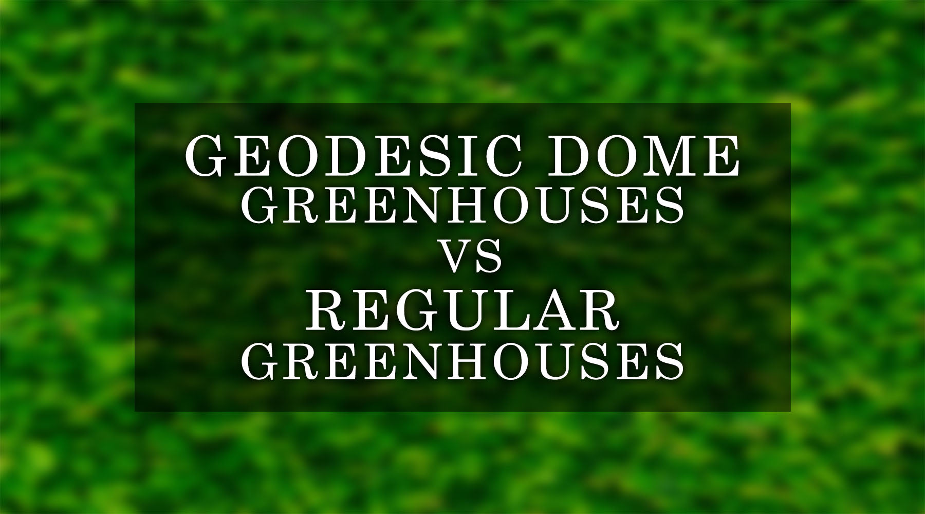 Geodesic Dome Greenhouses vs Regular Greenhouses: A Detailed Comparison