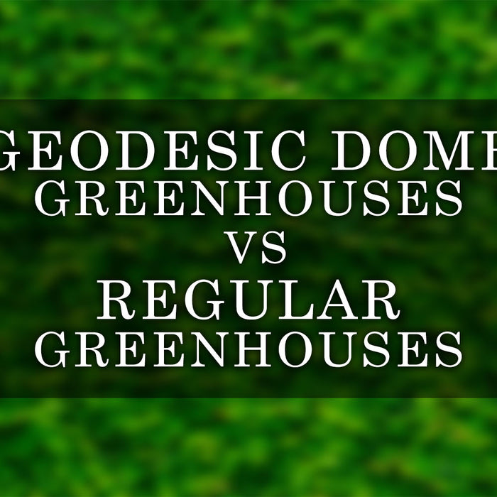 Geodesic Dome Greenhouses vs Regular Greenhouses: A Detailed Comparison