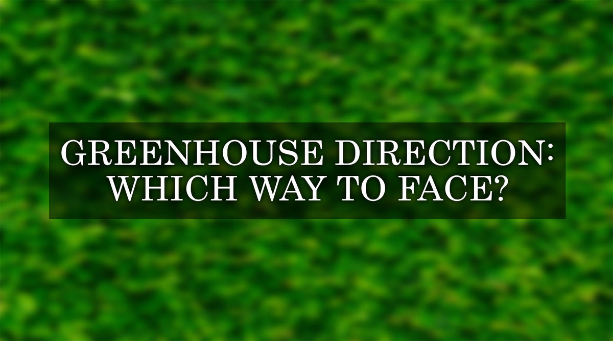 what-direction-should-a-greenhouse-face-best-site-for-a-greenhouse