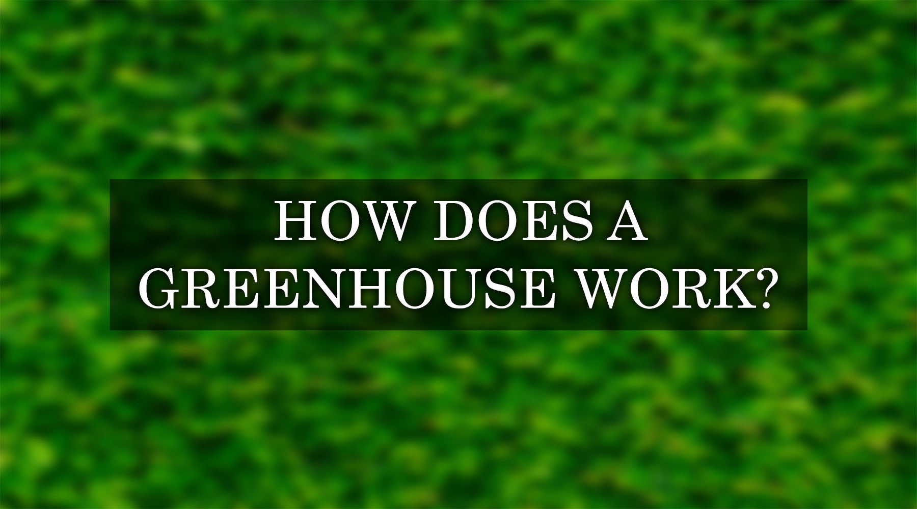 How Does a Greenhouse Work: The Science Behind the Greenhouse Effect