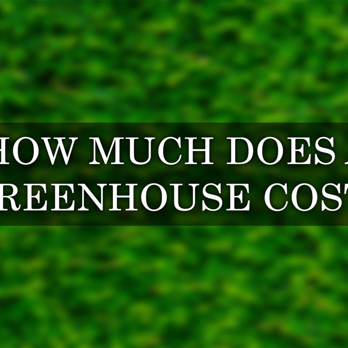 How Much Does a Greenhouse Cost? Complete Breakdown