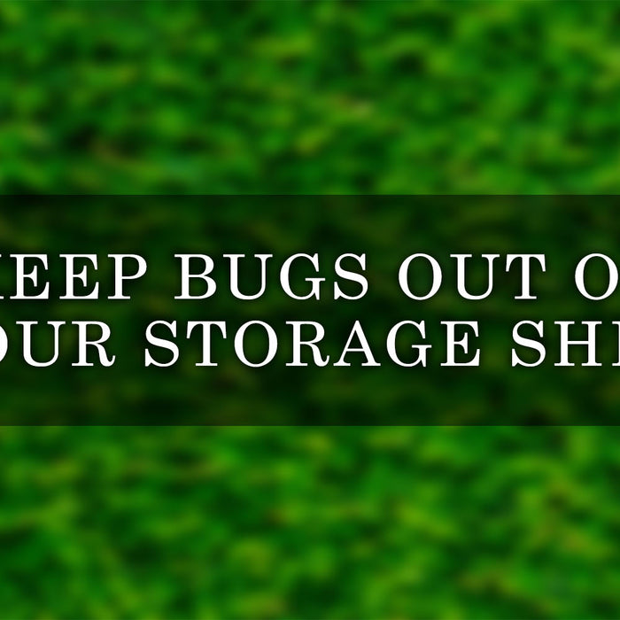 how to keep bugs out of your storage shed