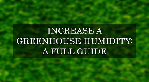 How to Increase Humidity in a Greenhouse: The Complete Guide