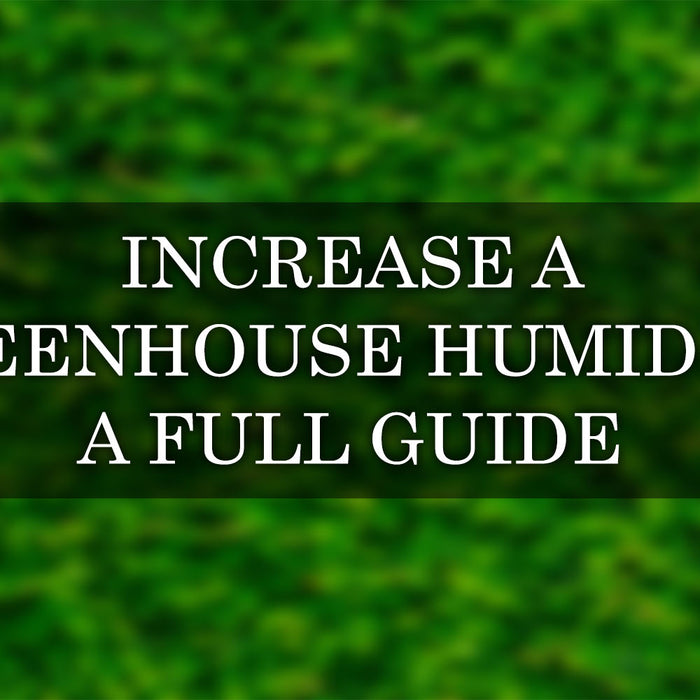 How to Increase Humidity in a Greenhouse: The Complete Guide