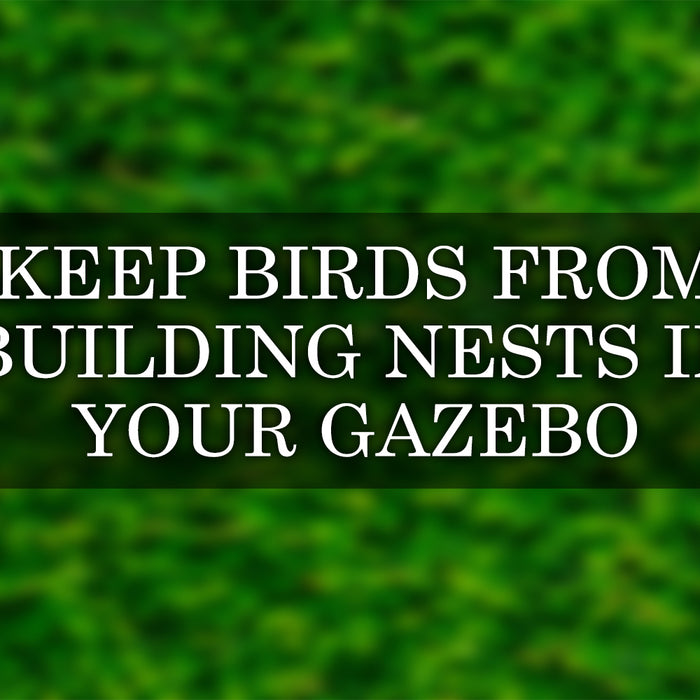 keep birds from building nests in your gazebo