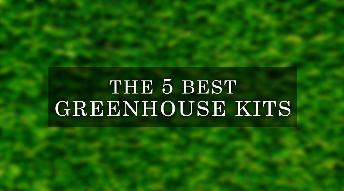 The 5 Best Greenhouse Kits 1200x667 ?v=1702670452