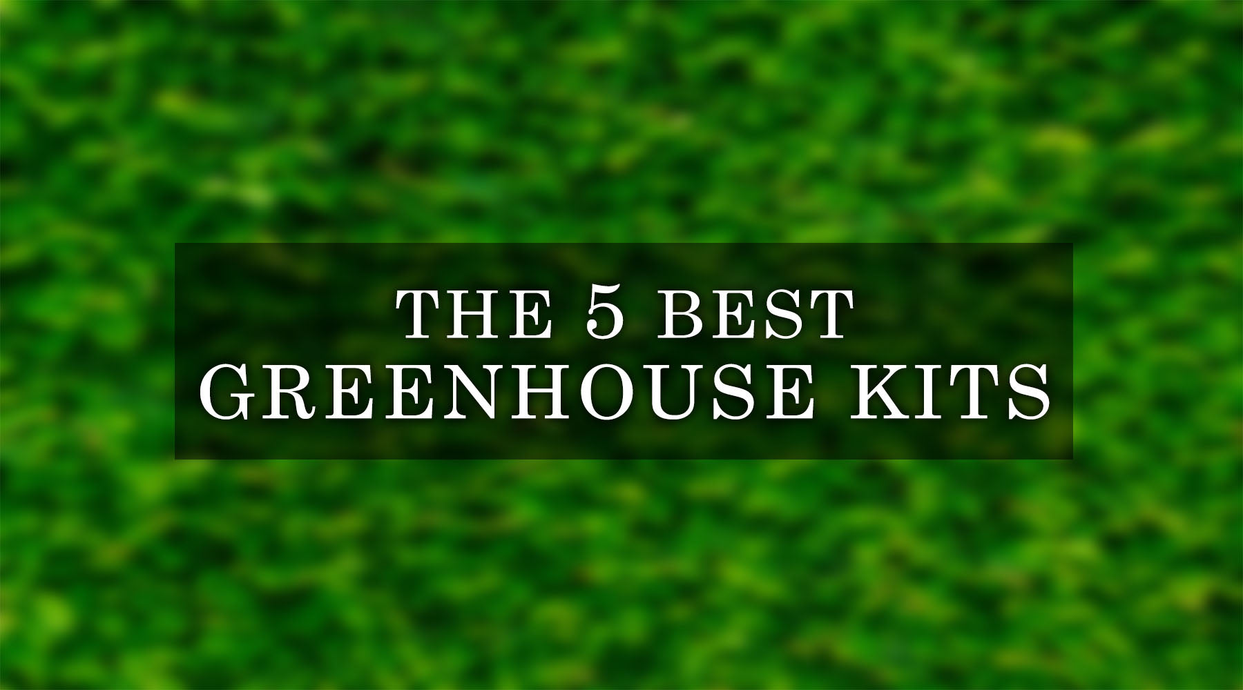 5 Best Greenhouse Kits for 2023 to Enhance Your Growing Season