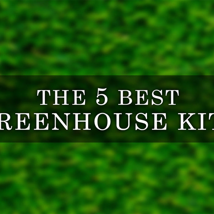5 Best Greenhouse Kits for 2023 to Enhance Your Growing Season