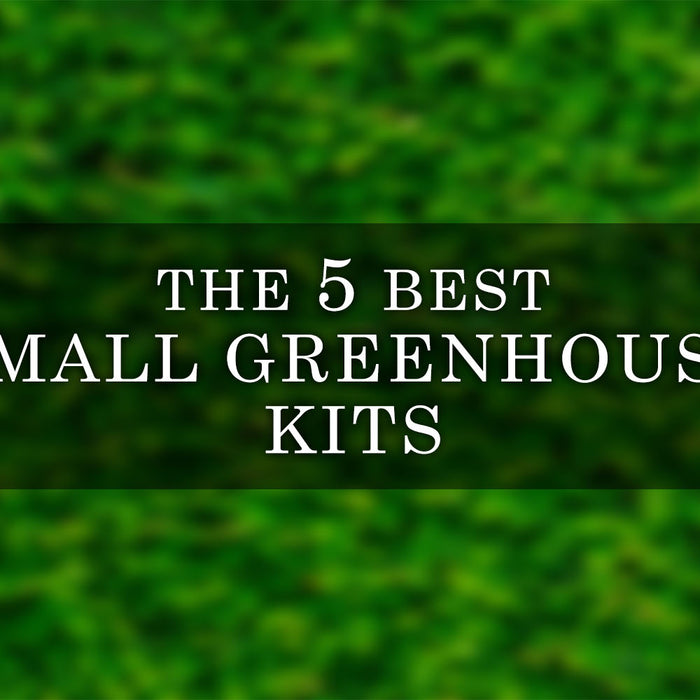 The 5 Best Small Greenhouse Kits of 2023