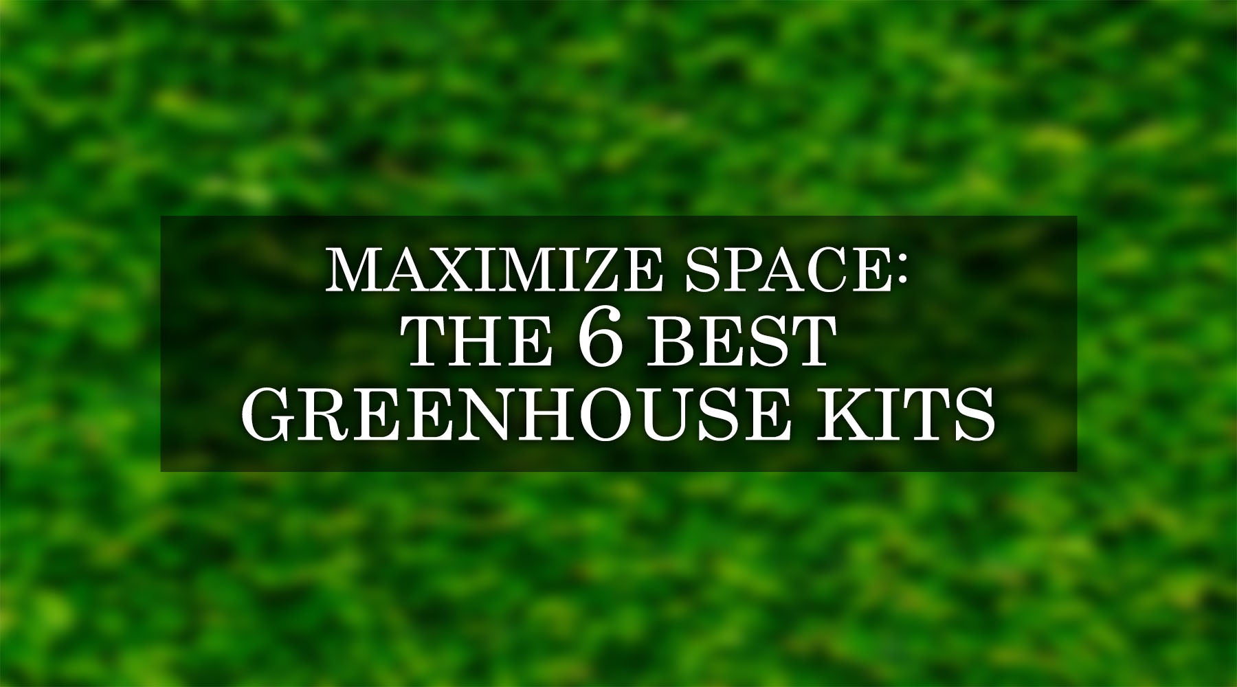 6 Best Greenhouse Kits for 2023 to Maximize Your Garden Space