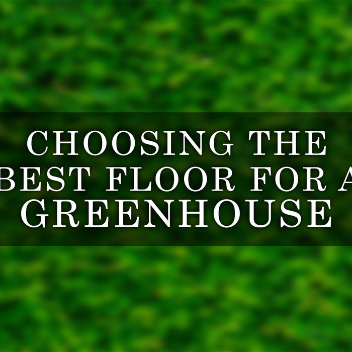 The Complete Guide to Choosing the Best Floor for Greenhouse