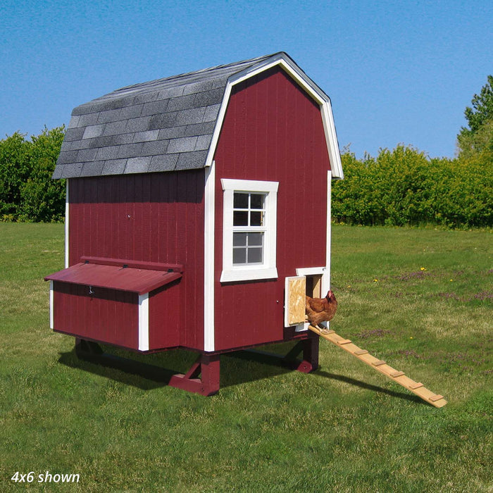 Little Cottage Co. 4x6 Gambrel Barn Chicken Coop in red with white trim, showing hens using the ramp entry on a grassy lawn.