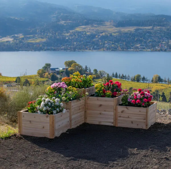 5.5x2 tiered L shaped garden bed in Western red cedar installed outdoors with plants