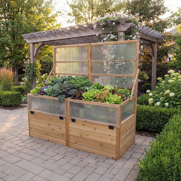 Cedar Greenhouse with Garden in a Box 6x3 set under a clematis-covered pergola, open lid showing kale and butterhead lettuce on a paver patio