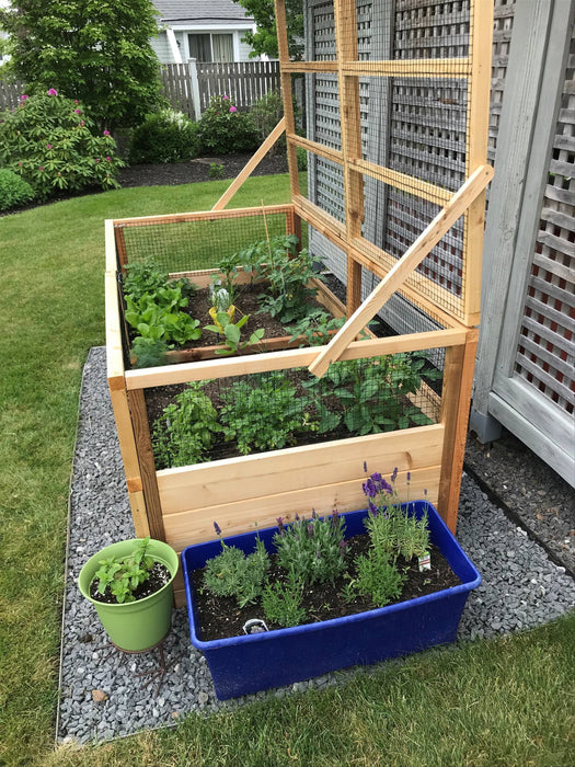 raised garden planter with trellis 6x3 Garden In A Box Trellis Bed Lid