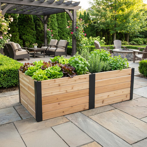 Cedar Urban Raised Garden Bed 6x3 on a flagstone patio near a pergola, growing butterhead lettuce, basil, rosemary and mint