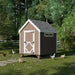 Front view of Little Cottage Co. 6x8 Chicken Coop in brown with white trim, featuring a Dutch-style door and hens pecking on grassy yard.