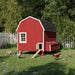 Front view of Little Cottage Co. 6x8 Gambrel Barn Chicken Coop in red with white trim and barn-style door, surrounded by chickens on the lawn.