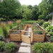 Outdoor Living Today Garden in a Box 8x16 with its cedar gate open to a paver walkway, U-shaped beds of corn, marigolds, lettuce and rosemary