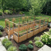 Elevated view of the 8x16 Garden in a Box with Deer Fence showing full-height wire mesh panels above western red cedar walls and planted rows