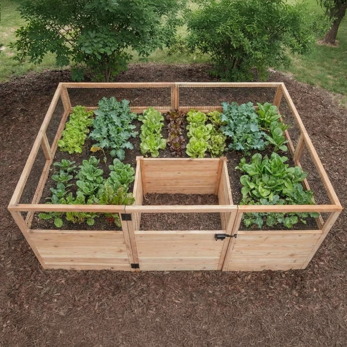 Overhead view of the 8x5 Garden in a Box showing neat rows of kale, spinach, butterhead and red leaf lettuce inside the cedar raised bed